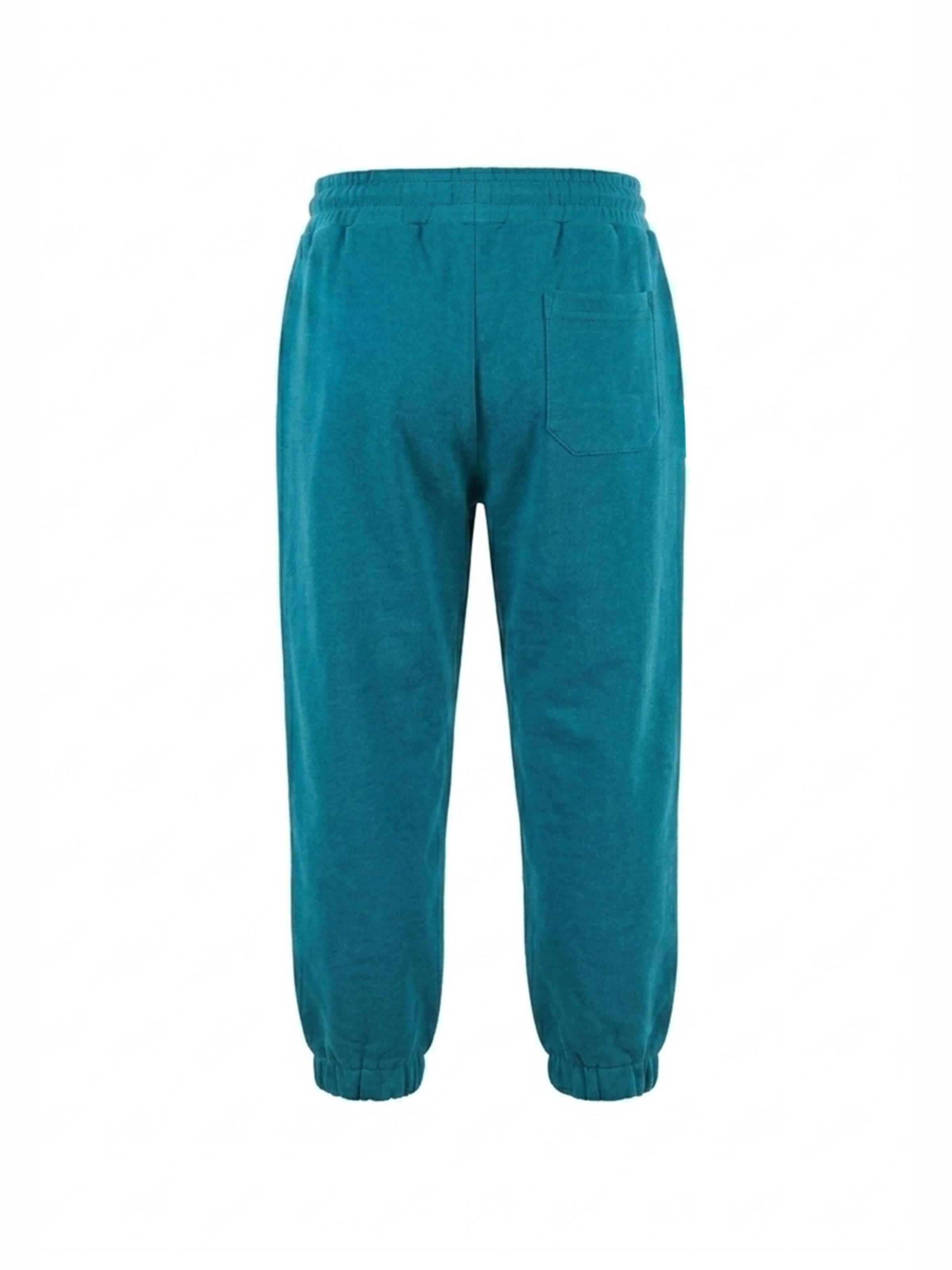 BARROW - regular Pantalón en azul