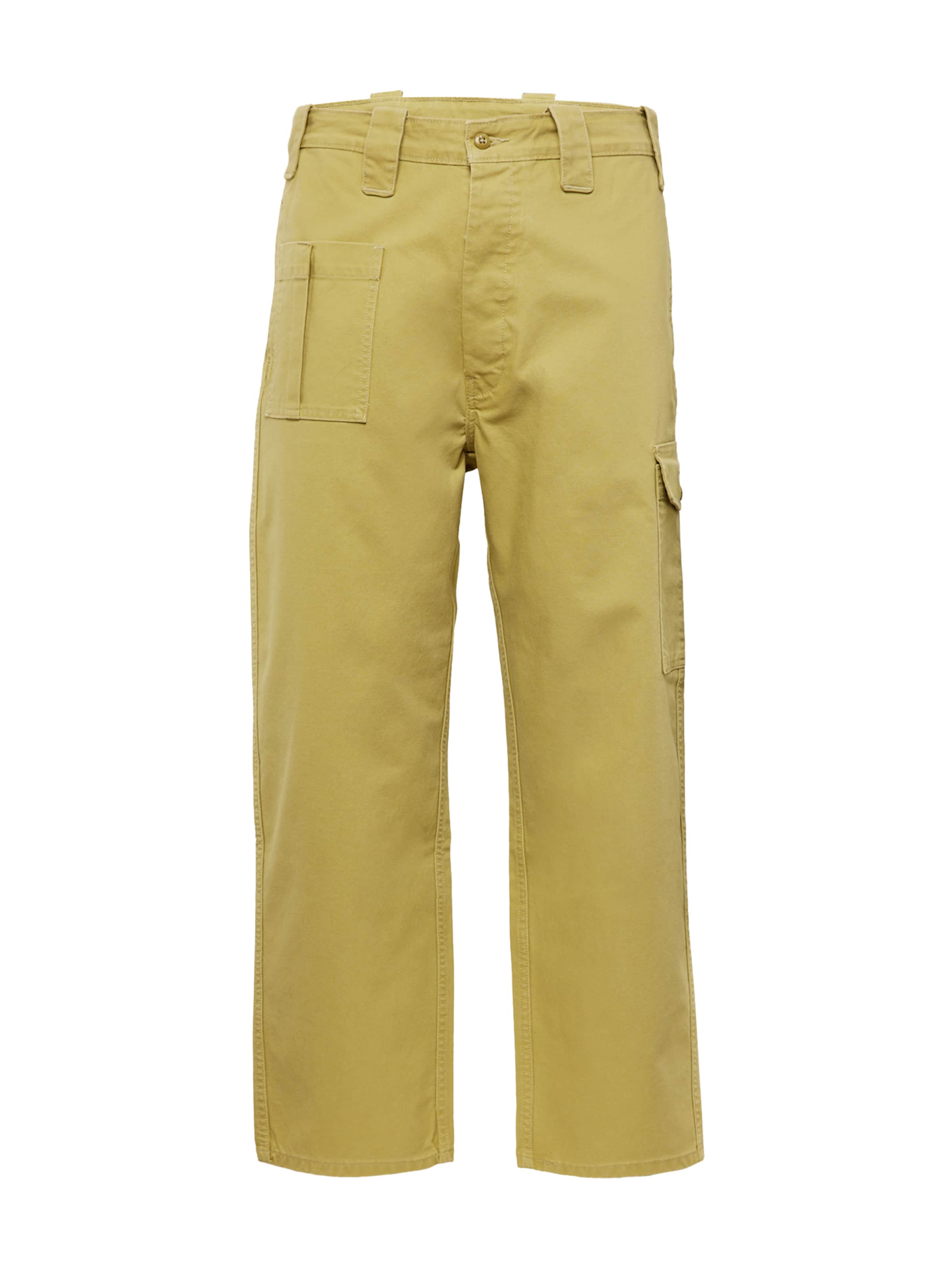 Levi's Skateboarding Loosefit Cargobukser 'Skate New Utility Pant' i grøn: forside