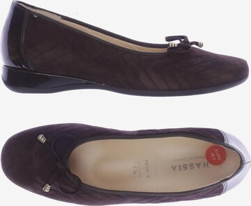 HASSIA Flats & Loafers in 38,5 in Brown: front