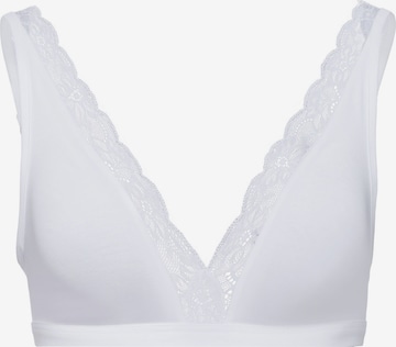 Hanro Soft Cup BH ' Cotton Lace ' in Weiß: front
