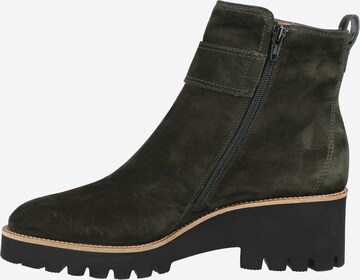 Paul Green Ankle Boots in Green