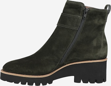 Bottines Paul Green en vert