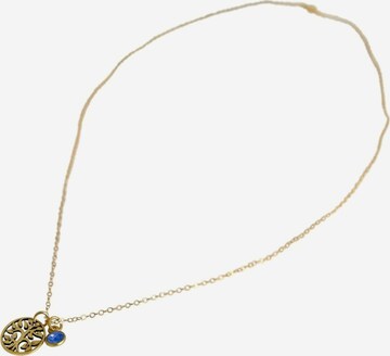 Gemshine Ketting in Goud