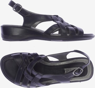 ECCO Sandals & High-Heeled Sandals in 35 in Black: front