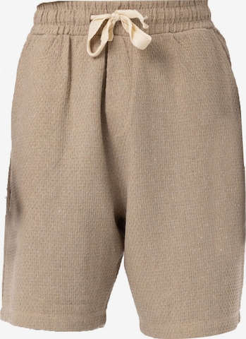 VAMOS CLO Hlače 'Limnophila' | rjava barva: sprednja stran