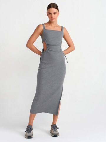 Dilvin Midi Kleid in Grau: Vorderseite
