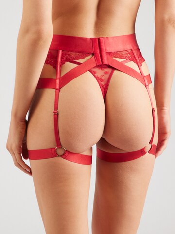 Hunkemöller Pasek za nogavice 'CLEMENTINE' | rdeča barva