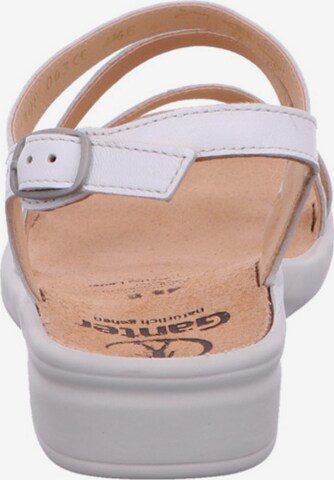 Ganter Sandals in White