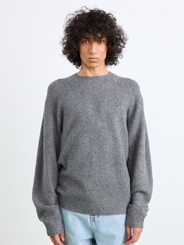 Carhartt WIP Свитер 'Curtis' в Серый: спереди