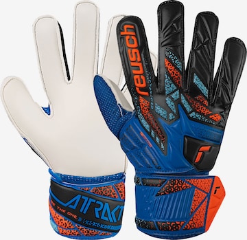 REUSCH Torwarthandschuhe 'Attrakt Solid Junior' in Blau: Vorderseite