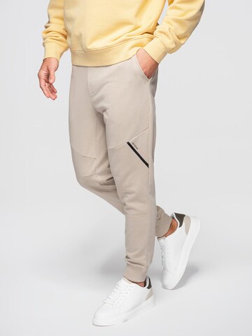 Ombre Tapered Pants in Beige