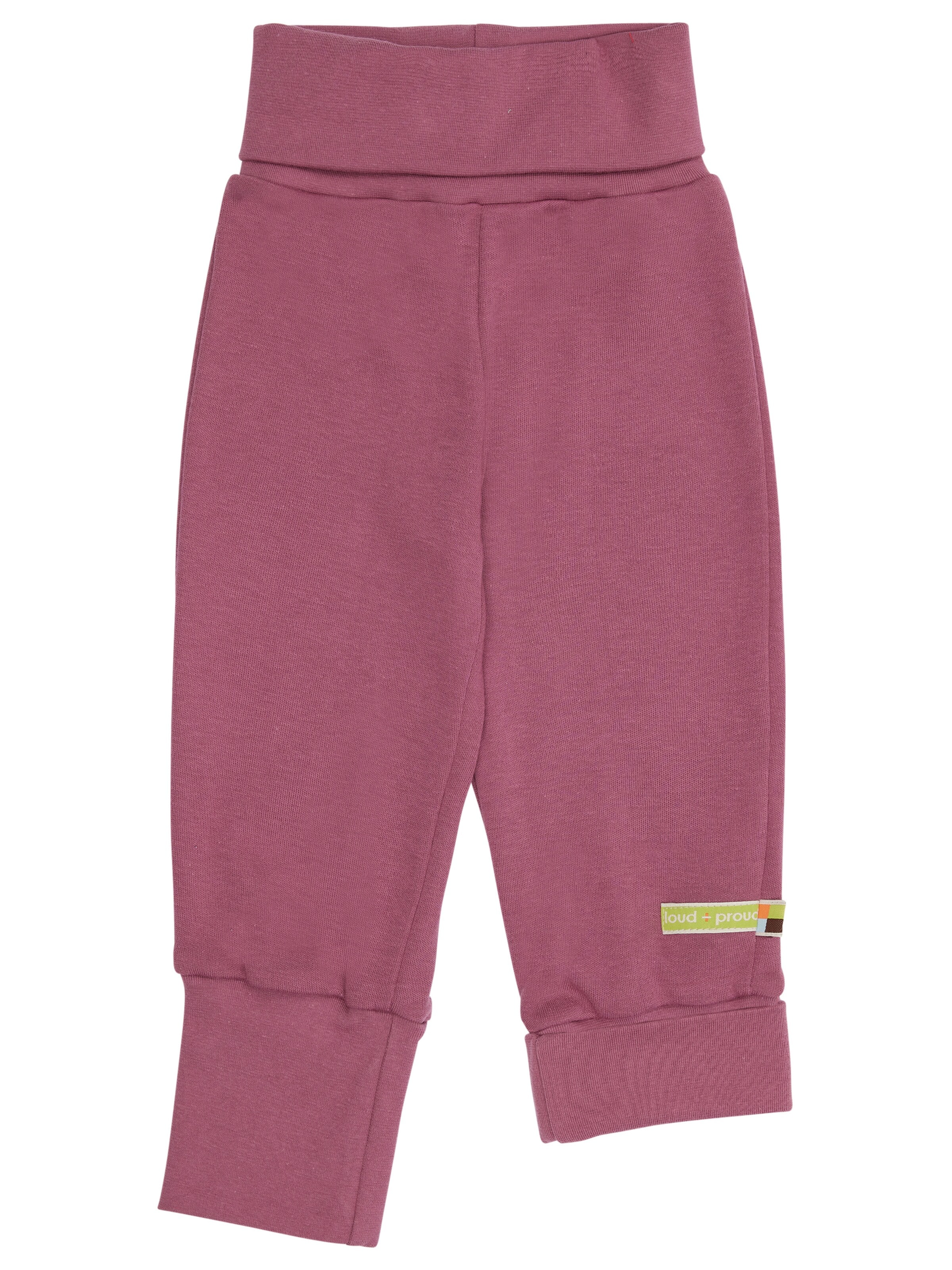 loud + proud Pants 'Mitwachs' in Purple: front