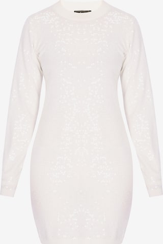 faina Strickkleid 'Festive' in Beige: Vorderseite