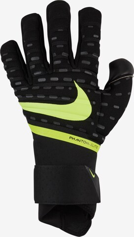 Welche Faktoren es vor dem Kauf die Sporthandschuhe nike zu bewerten gibt!