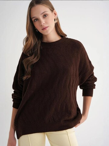 Pull-over 'Pullover' MixRay en marron