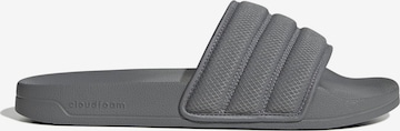 pelēks ADIDAS SPORTSWEAR Ādas čības 'Adilette': no priekšpuses