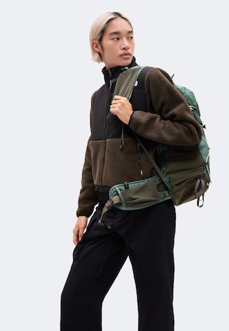 THE NORTH FACE Bluza polarowa 'RETRO DENALI' w kolorze brązowy: przód