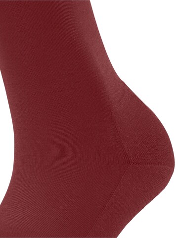 FALKE Socks 'ClimaWool' in Red
