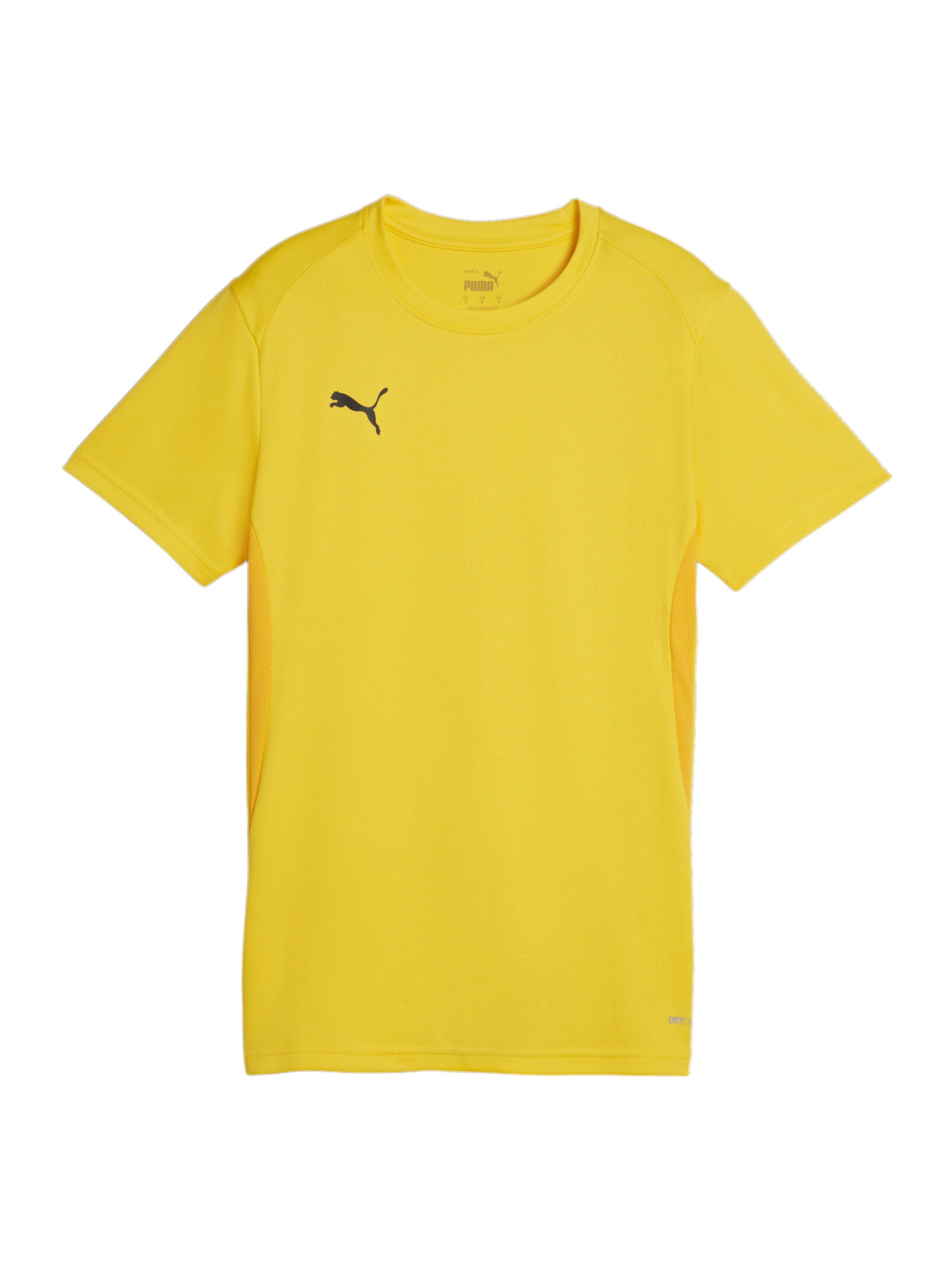 PUMA Funktionsshirt 'Team Goal' in Gelb: Vorderseite