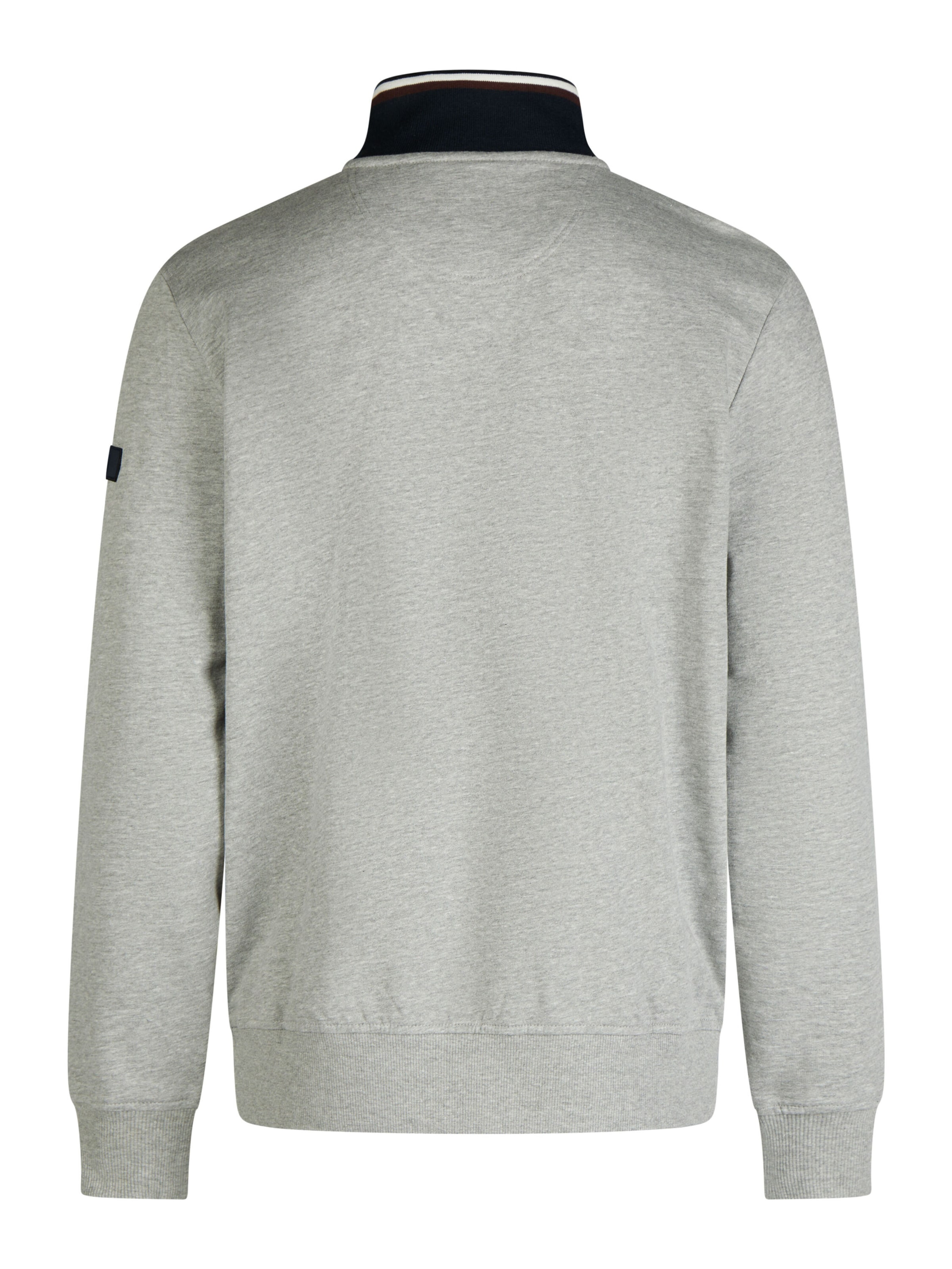 PIERRE CARDIN Trui in Grijs