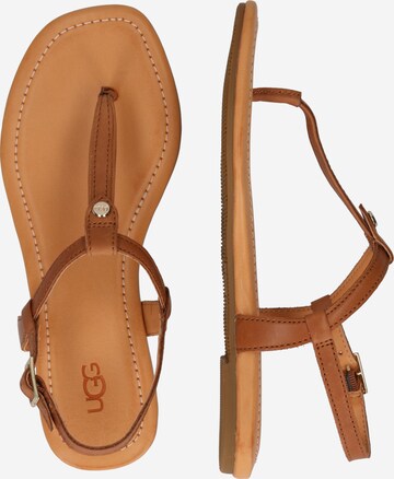 UGG T-Bar Sandals 'Madeena' in Brown