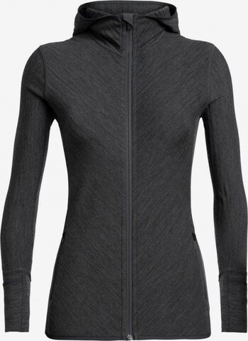 ICEBREAKER Athletic Sweatshirt 'Descender' in Grey: front