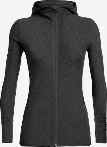 ICEBREAKER Athletic Sweatshirt 'Descender' in Grey: front