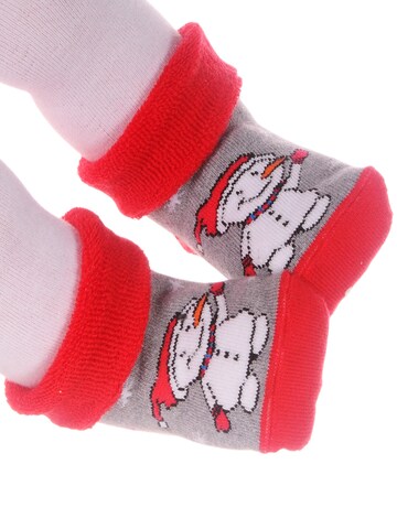 La Bortini Socken in 