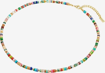 Chaîne Yokoamii en mélange de couleurs : devant