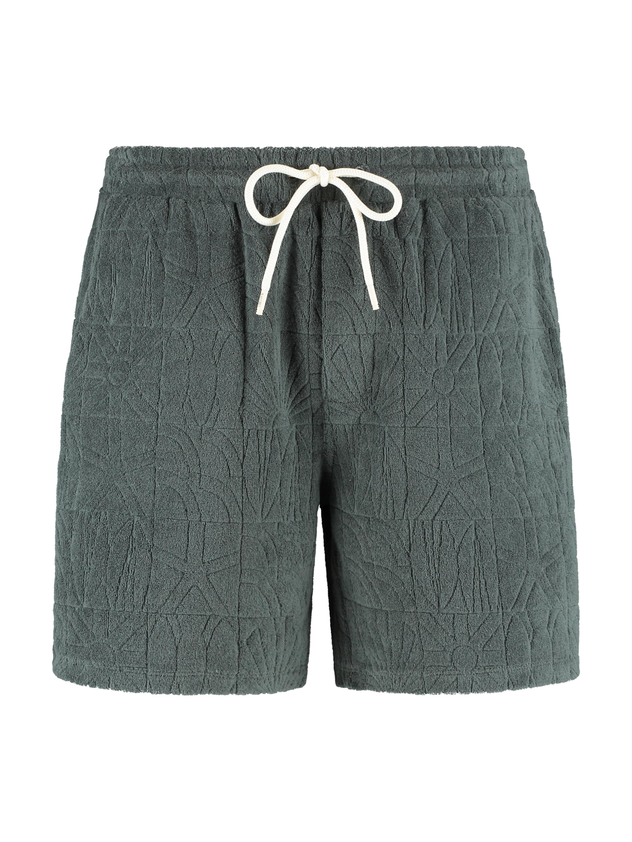 Shiwi Regular Панталон 'Tony' в зелено: отпред