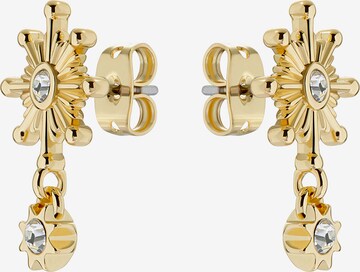 Ted Baker - Pendientes 'CELTIS' en oro