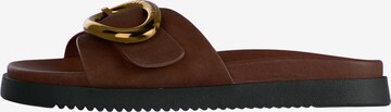 STEVE MADDEN Muiltjes 'Mistify' in Bruin: voorkant