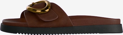 36 dydžio Šlepetės 'Mistify' iš STEVE MADDEN, spalva – tamsiai ruda / Auksas, Prekių apžvalga
