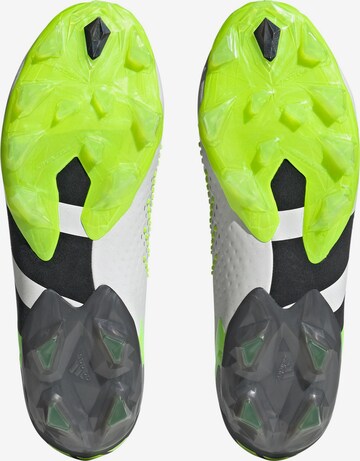 ADIDAS PERFORMANCE Voetbalschoen 'Predator Accuracy.1' in Wit