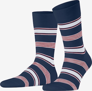 FALKE Socken 'Marina Stripe' in Blau: Vorderseite