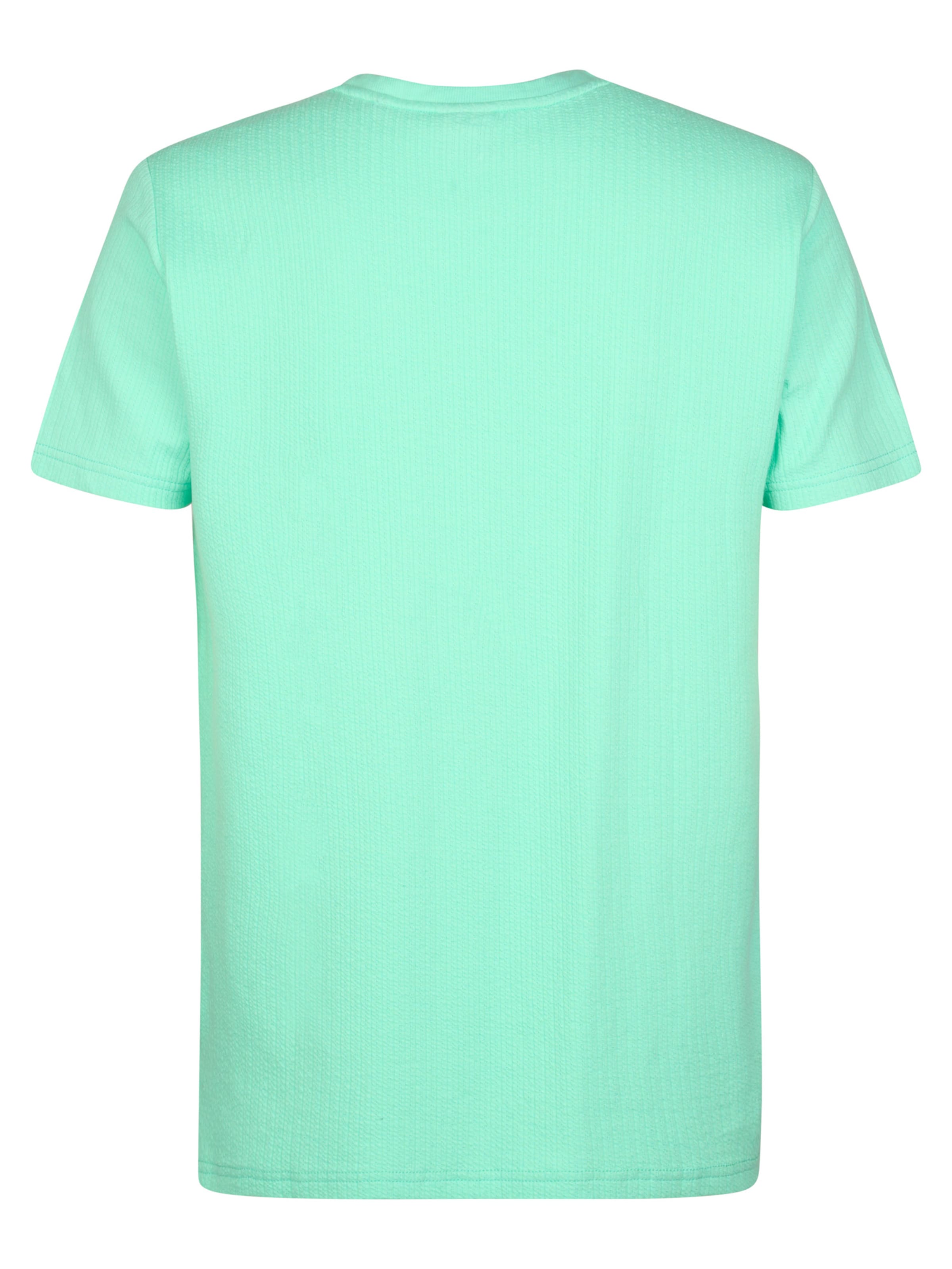 Petrol Industries Shirt in Green