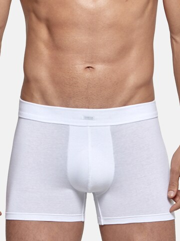 IMPETUS - Boxers em branco: frente