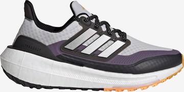 ADIDAS PERFORMANCE Laufschuh 'Ultraboost Light' in Grau