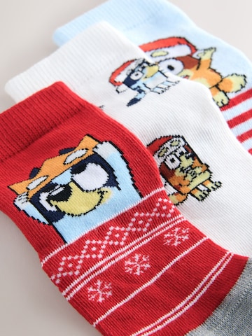 Next - Calcetines en azul