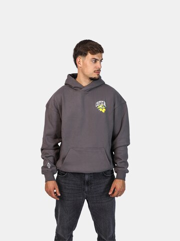 Crystal Paris Sweatshirt 'Polo Club' in Grey