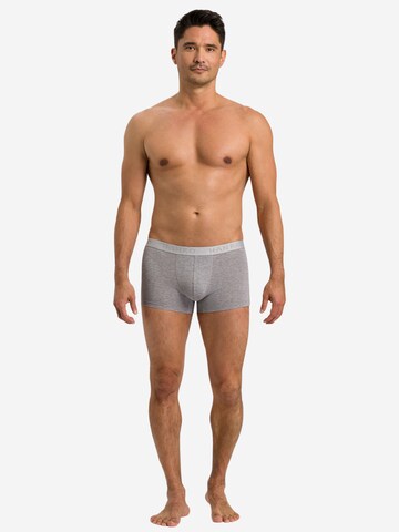 Hanro Boxer shorts 'Cotton Essentials' in Grey