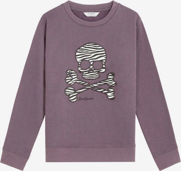 Scalpers Collegepaita 'Zebraskull' värissä lila: etupuoli