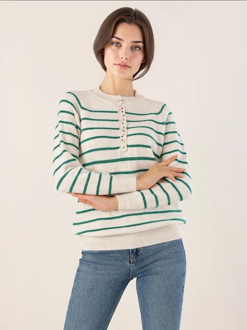 Bigdart Trui in Beige