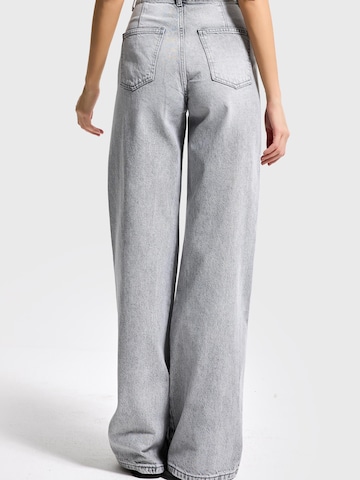 IT'S BASIC Loose fit Jeans 'Loose Mid Rise Jeans' in Grey