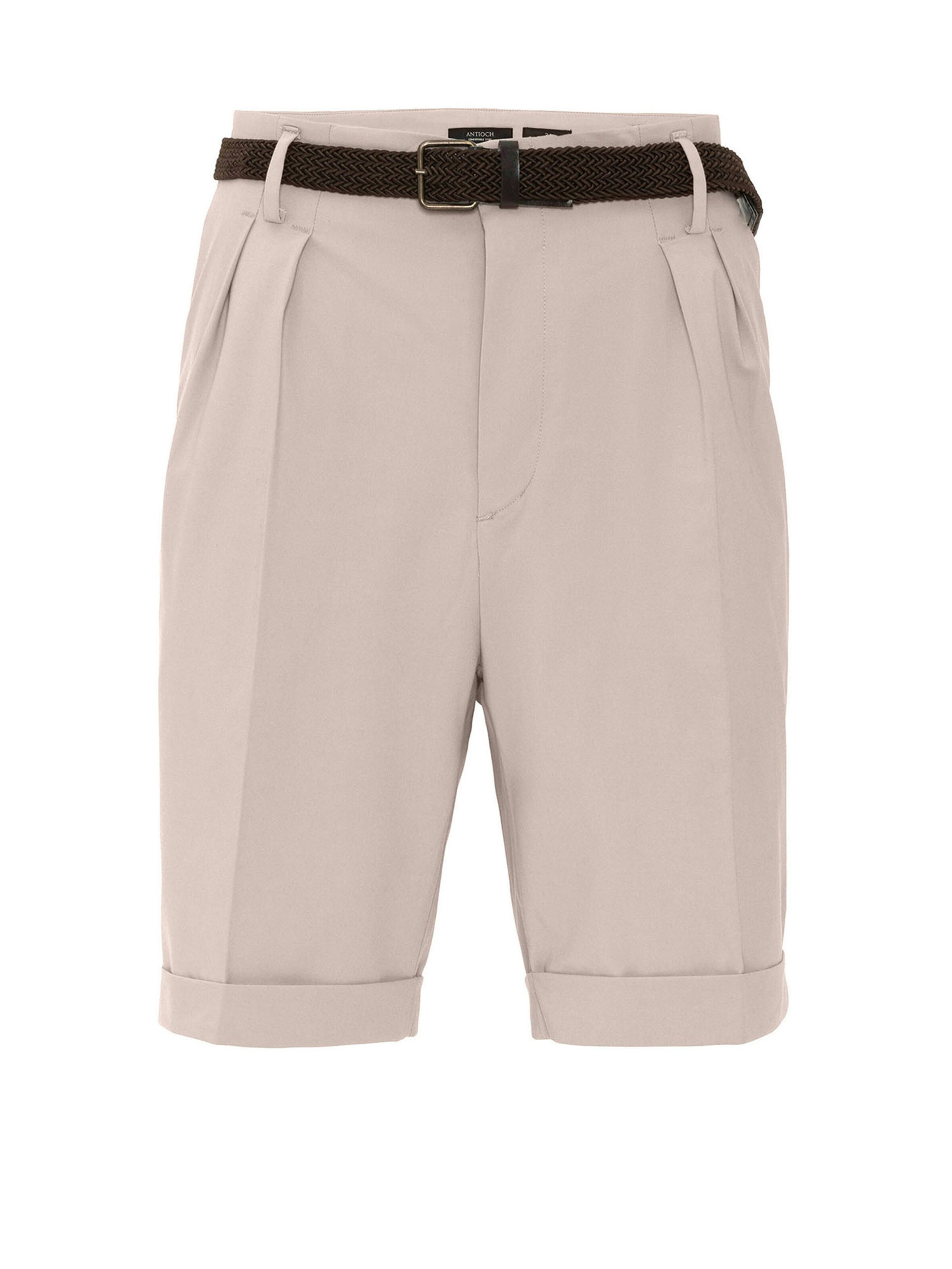 Regular Pantalon à plis Antioch en beige : devant