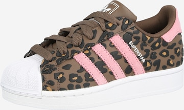 ADIDAS ORIGINALS Sneaker 'SUPERSTAR II' in Braun: Vorderseite