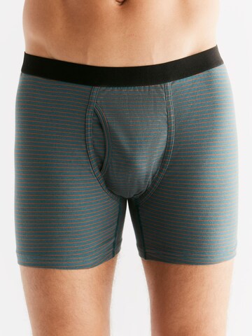 Albero Natur Boxer shorts in Green