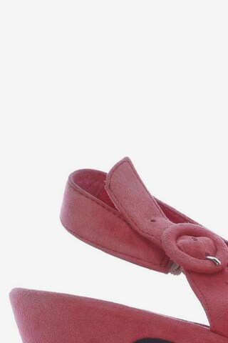 Högl Sandals & High-Heeled Sandals in 34,5 in Pink
