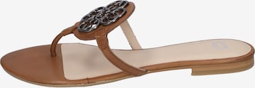 GERRY WEBER T-Bar Sandals 'Gadera 09' in Brown: front