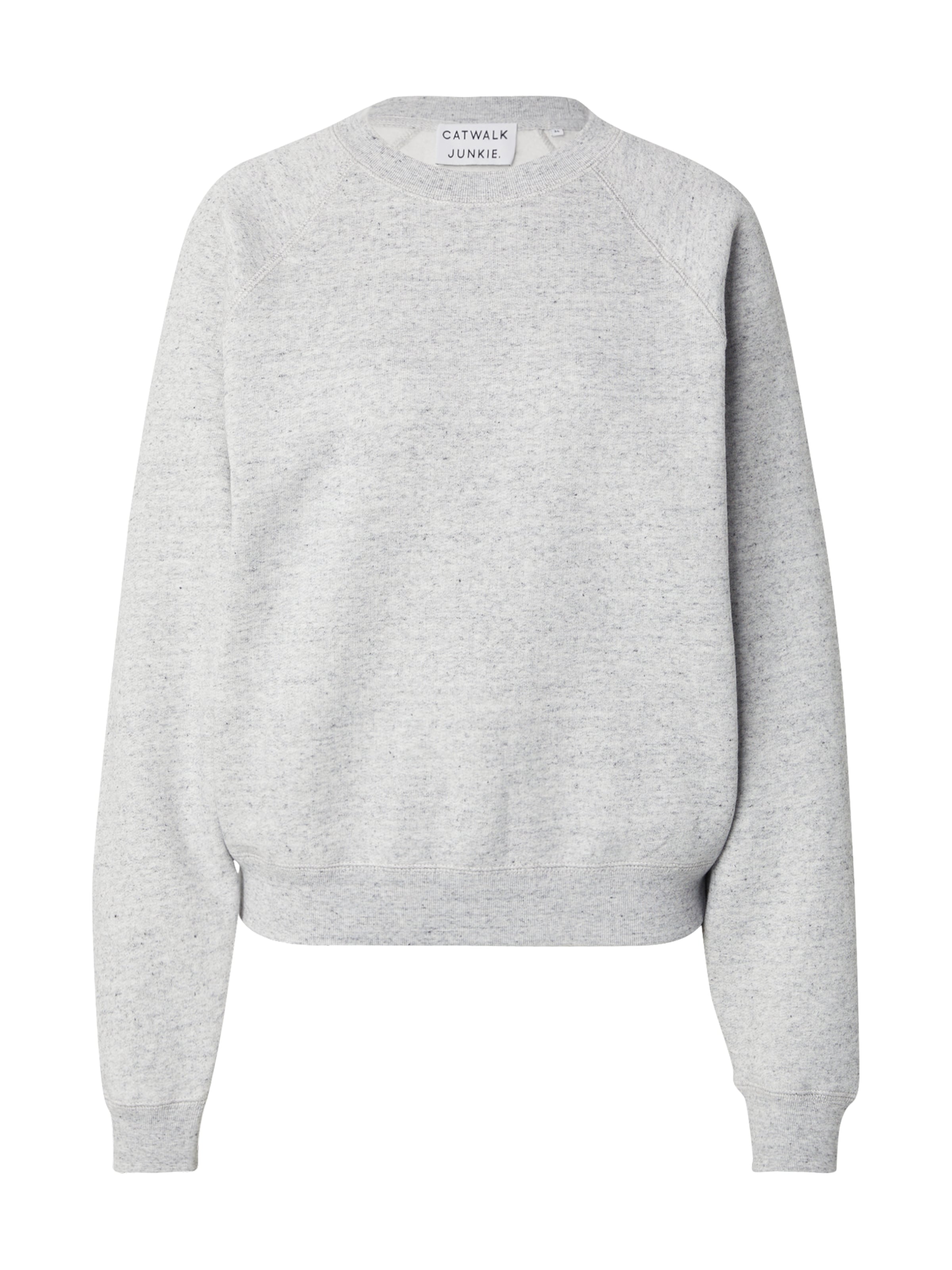 CATWALK JUNKIE Sweatshirt in Grey: front